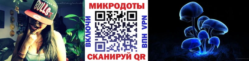 Псилоцибиновые грибы Magic Shrooms  гидра ТОР  Грайворон 